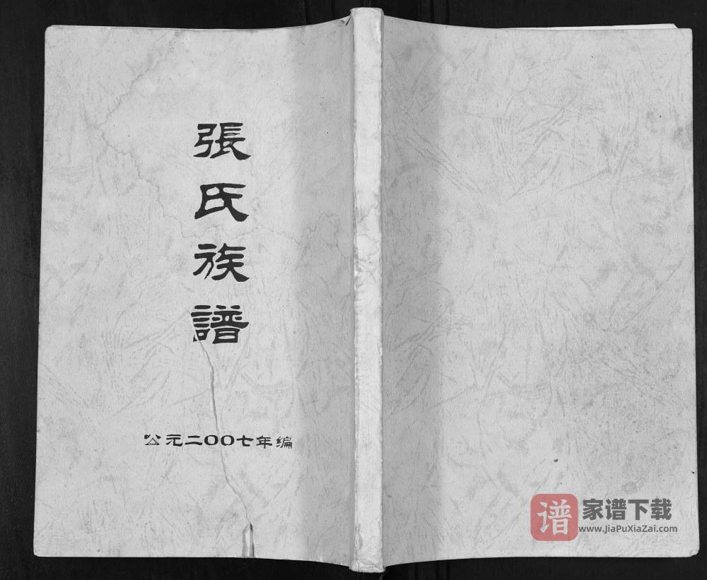 图片[1]-广西桂林平乐县张氏族谱PDF高清电子版下载-家谱下载