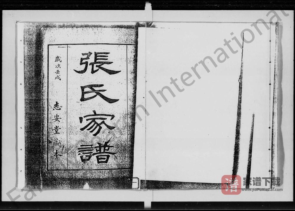 图片[1]-广东佛山张氏家谱（志安堂）PDF高清电子版下载-家谱下载