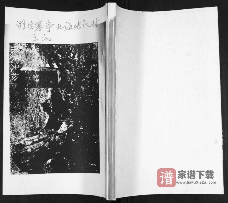 山东潍坊寒亭北海张氏村王氏族谱PDF高清电子版下载-家谱下载