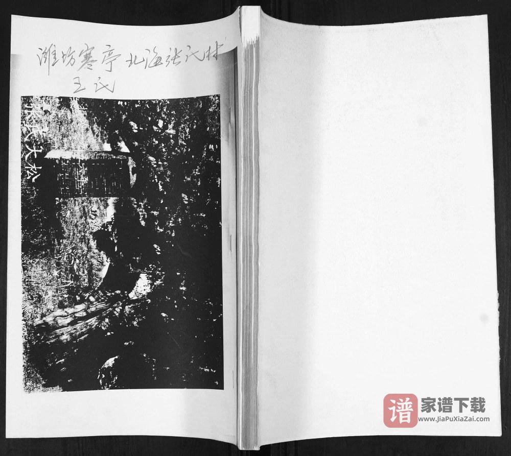 图片[1]-山东潍坊寒亭北海张氏村王氏族谱PDF高清电子版下载-家谱下载