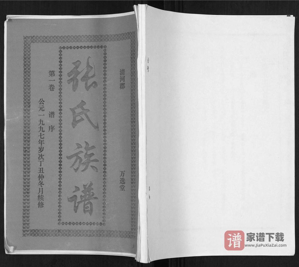 图片[1]-海南万宁张氏族谱（万选堂）PDF高清电子版下载-家谱下载