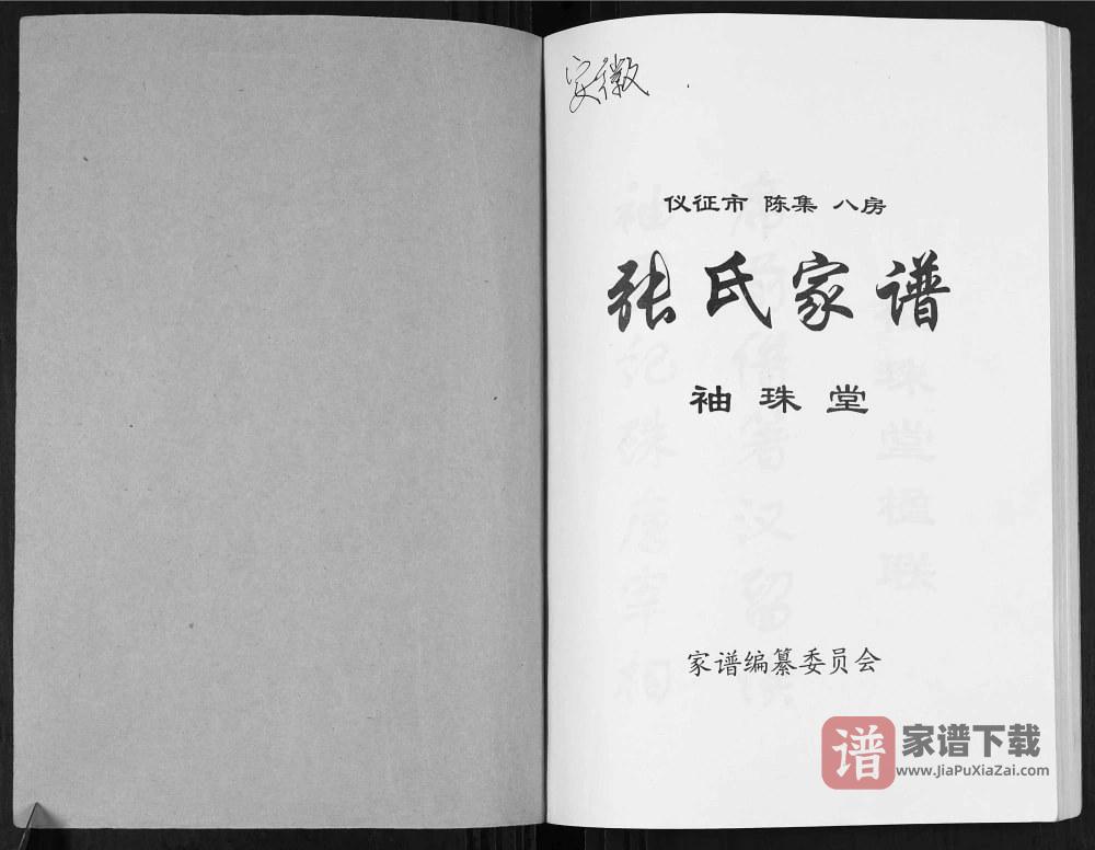 图片[2]-安徽天长张氏家谱（袖珠堂）PDF高清电子版下载-家谱下载