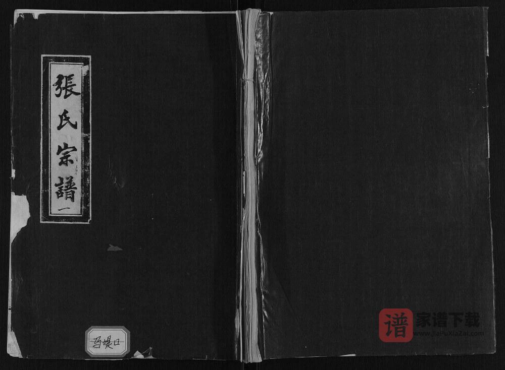 图片[1]-山东菏泽张氏宗谱PDF高清电子版下载-家谱下载