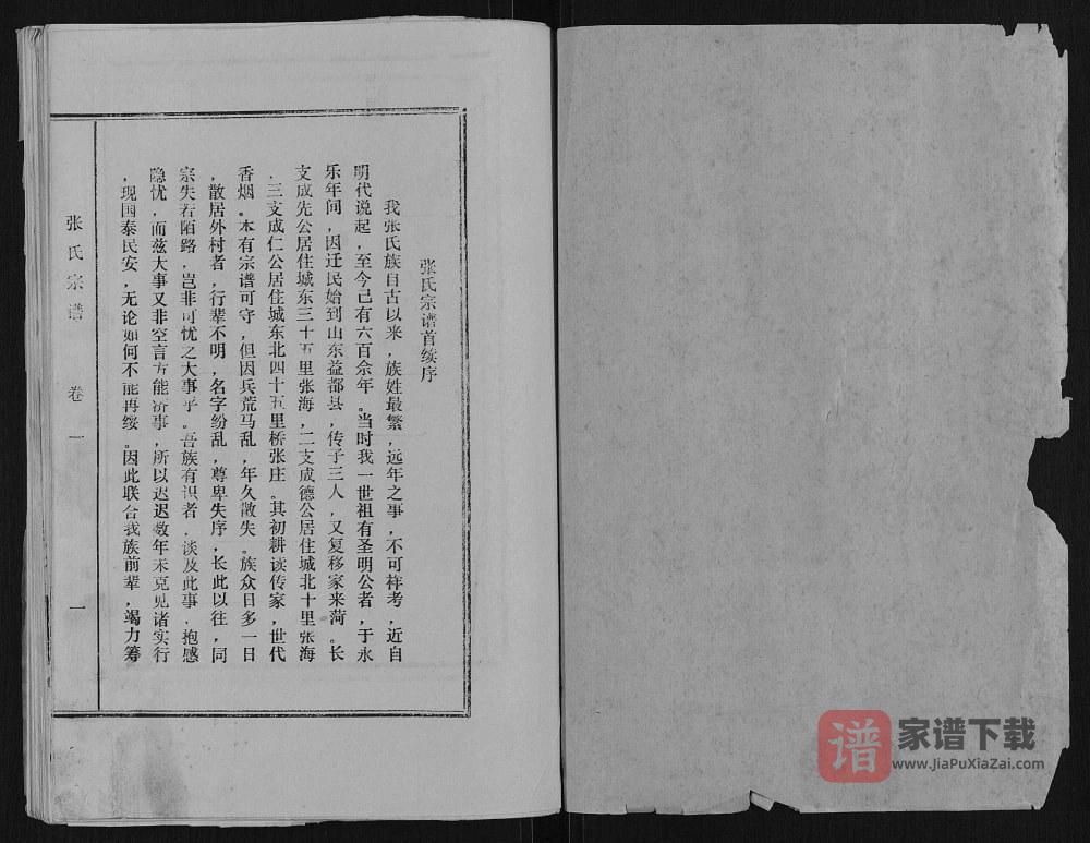 图片[2]-山东菏泽张氏宗谱PDF高清电子版下载-家谱下载