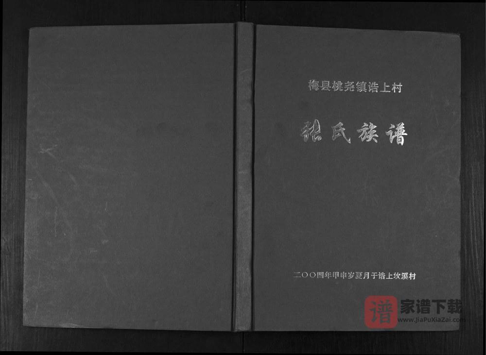 广东梅州梅县桃尧镇诰上坎溪村张氏族谱（清河堂）PDF高清电子版下载