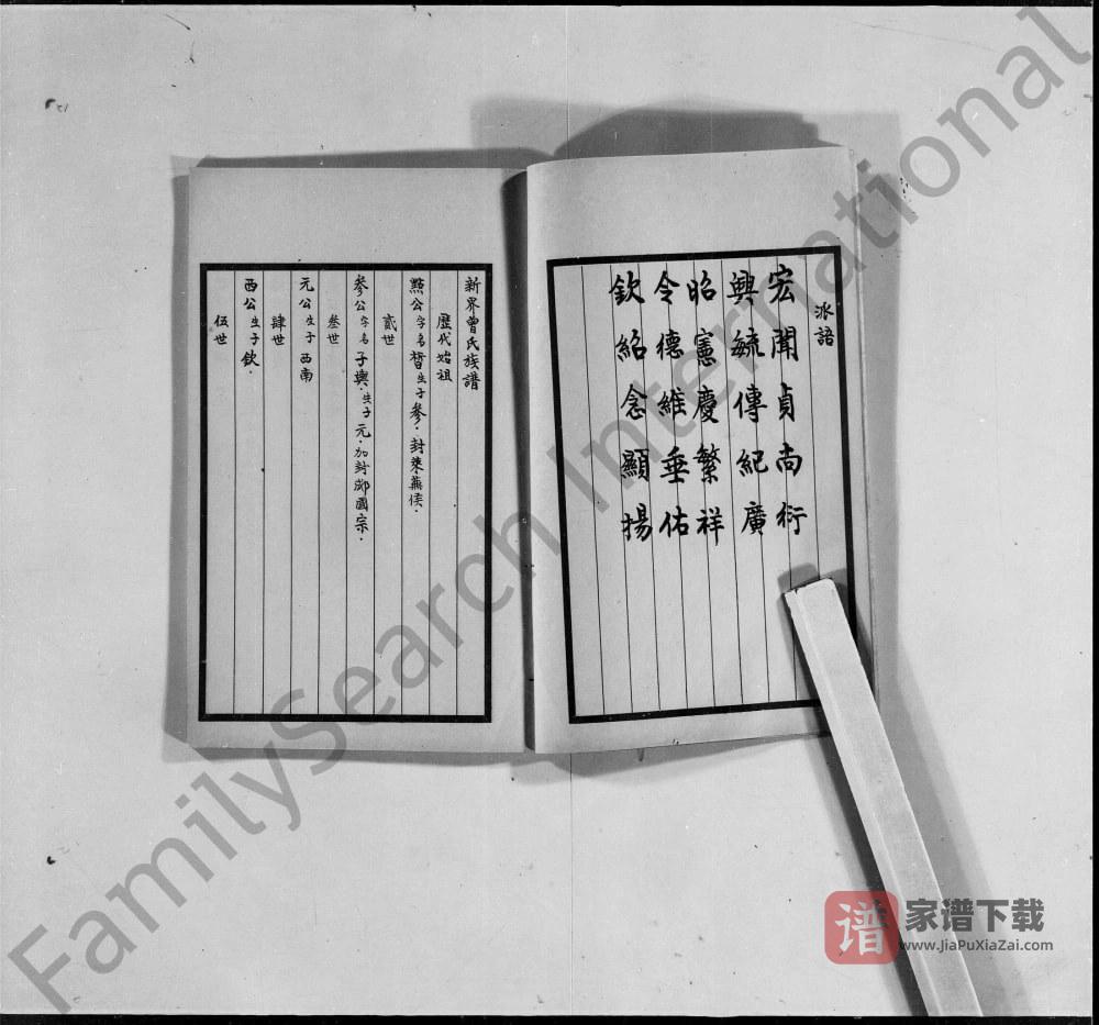 图片[2]-香港新界曾氏族谱PDF高清电子版下载-家谱下载
