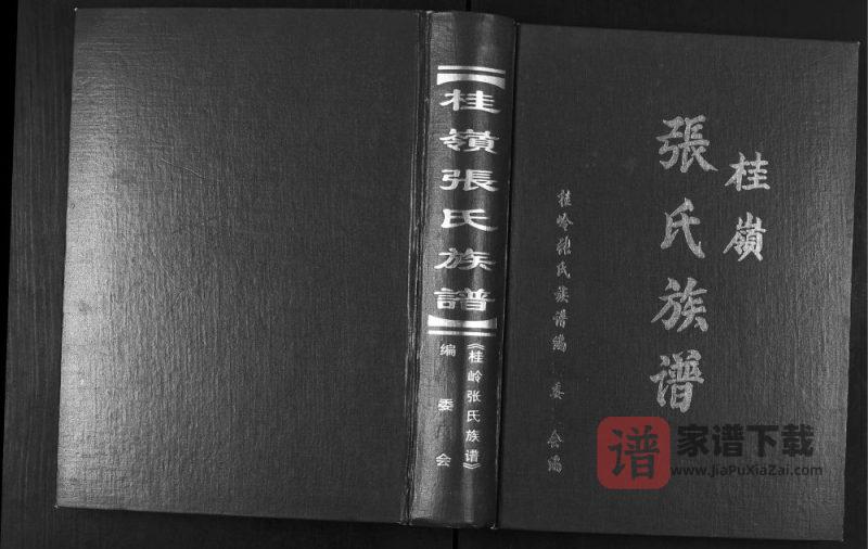 广东揭阳揭东区桂岭张氏族谱PDF高清电子版下载-家谱下载