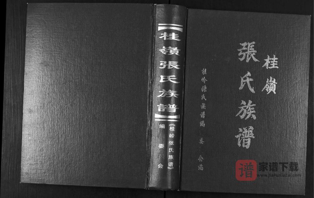广东揭阳揭东区桂岭张氏族谱PDF高清电子版下载