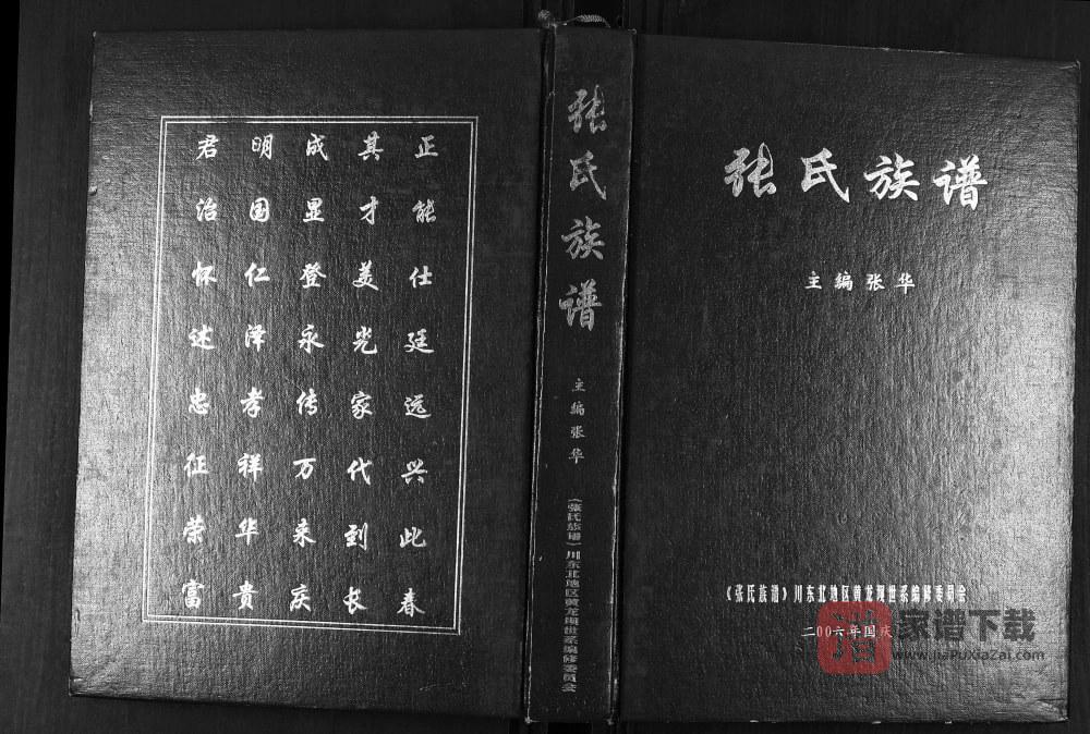 图片[1]-四川达州张氏族谱PDF高清电子版下载-家谱下载