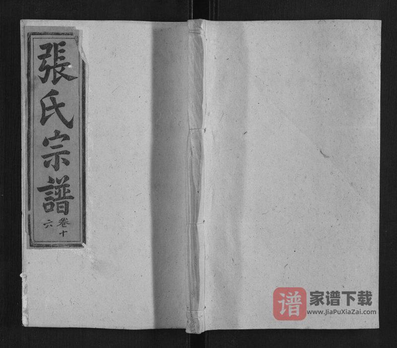 安徽安庆太湖县张氏宗谱(孝友堂)PDF高清电子版下载-家谱下载