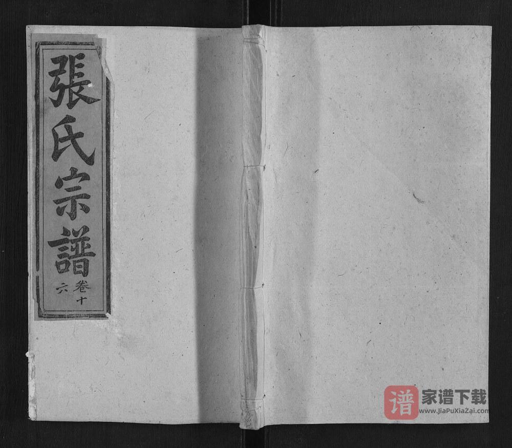 图片[1]-安徽安庆太湖县张氏宗谱（孝友堂）PDF高清电子版下载-家谱下载