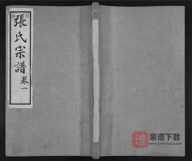 山东淄博岳阴张氏宗谱PDF高清电子版下载-家谱下载