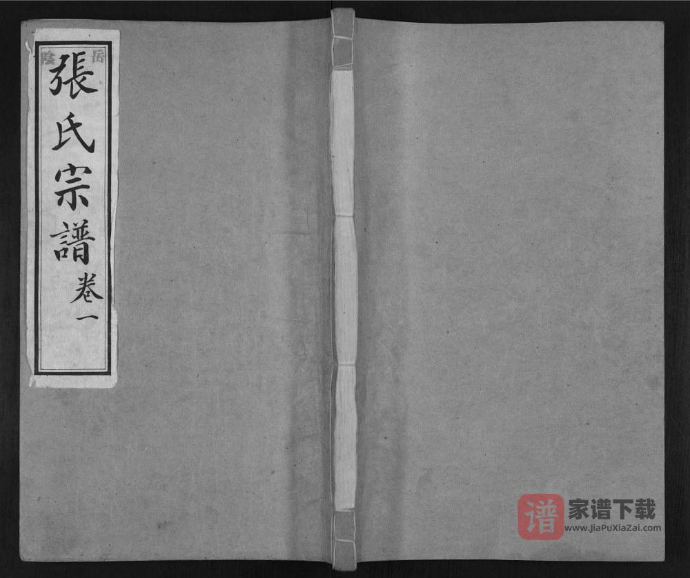 山东淄博岳阴张氏宗谱PDF高清电子版下载