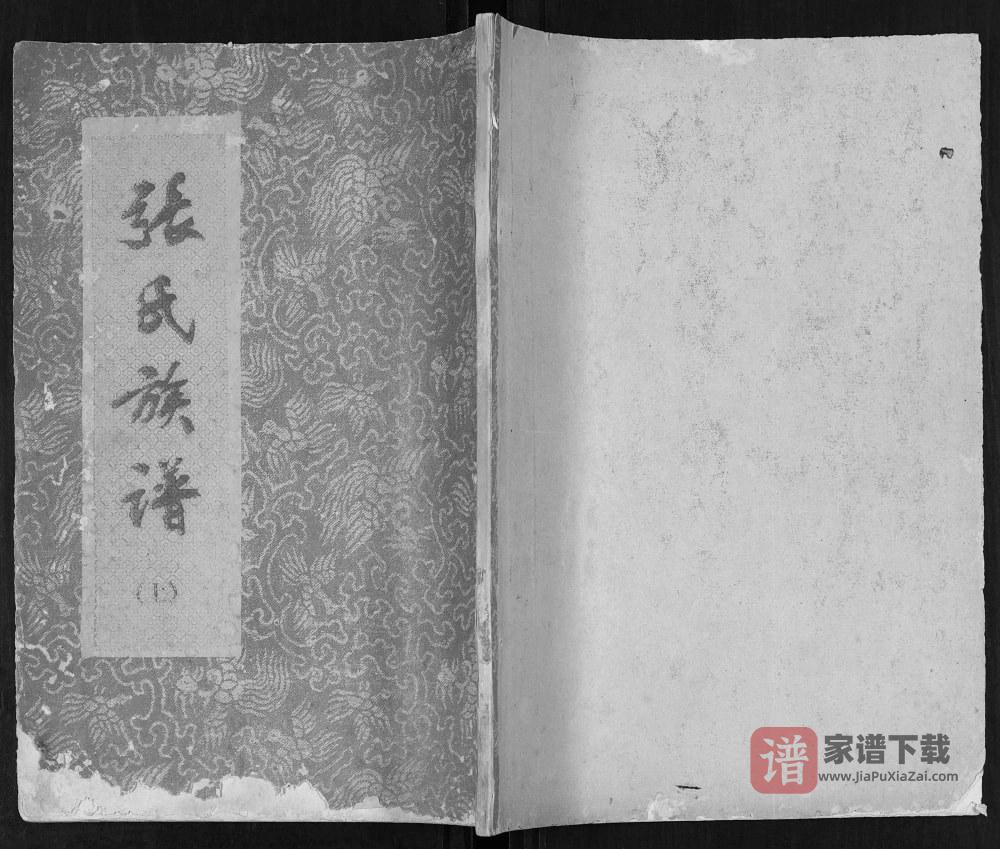 广西玉林博白县张氏族谱PDF高清电子版下载