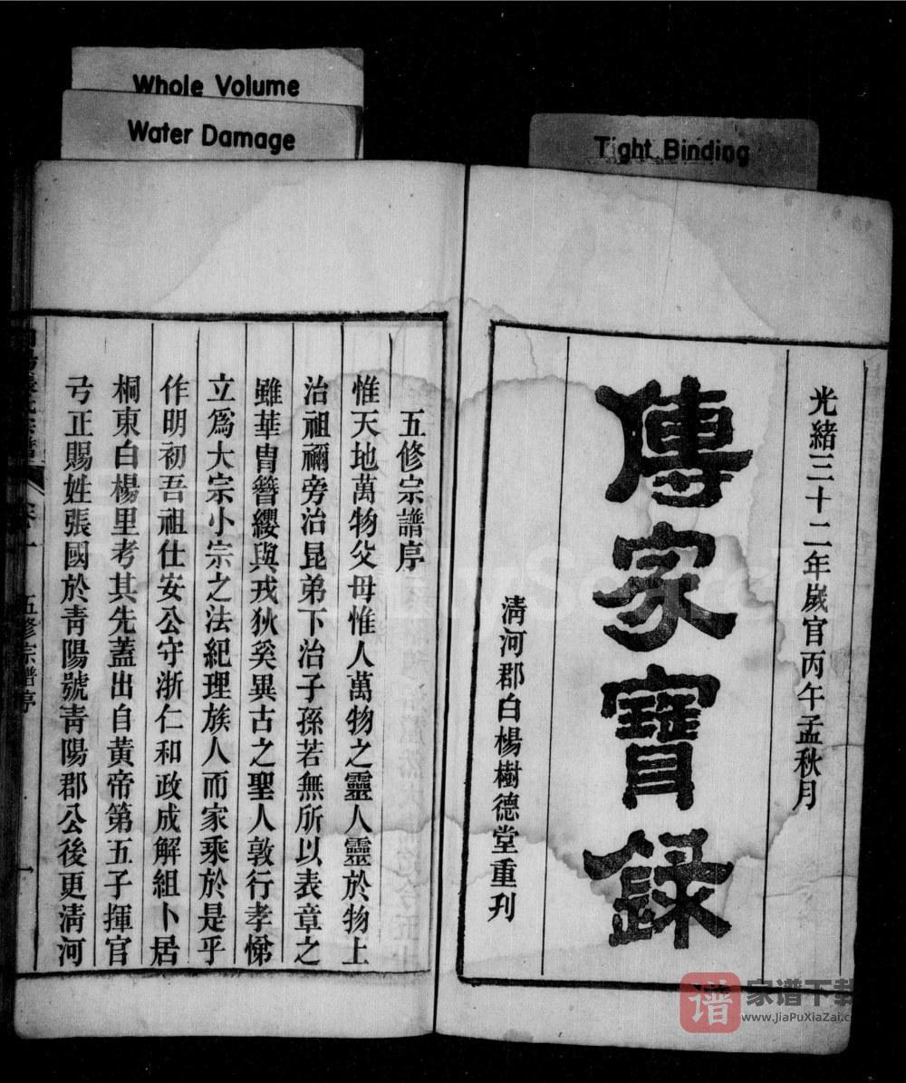 图片[2]-安徽桐城皖桐张氏宗谱（树德堂）PDF高清电子版下载-家谱下载