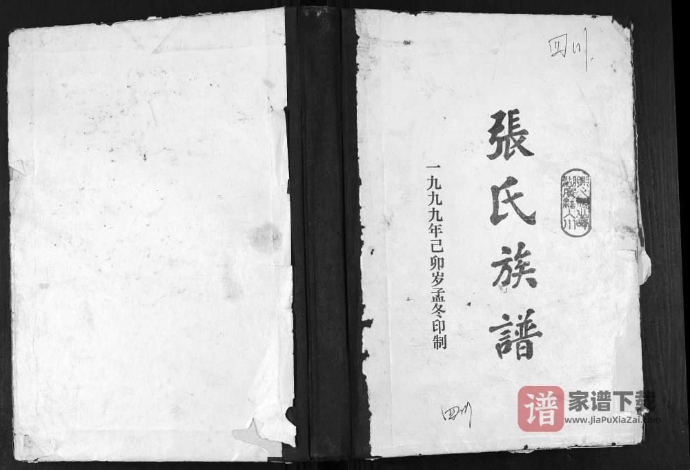 四川宜宾兴文县张氏族谱PDF高清电子版下载