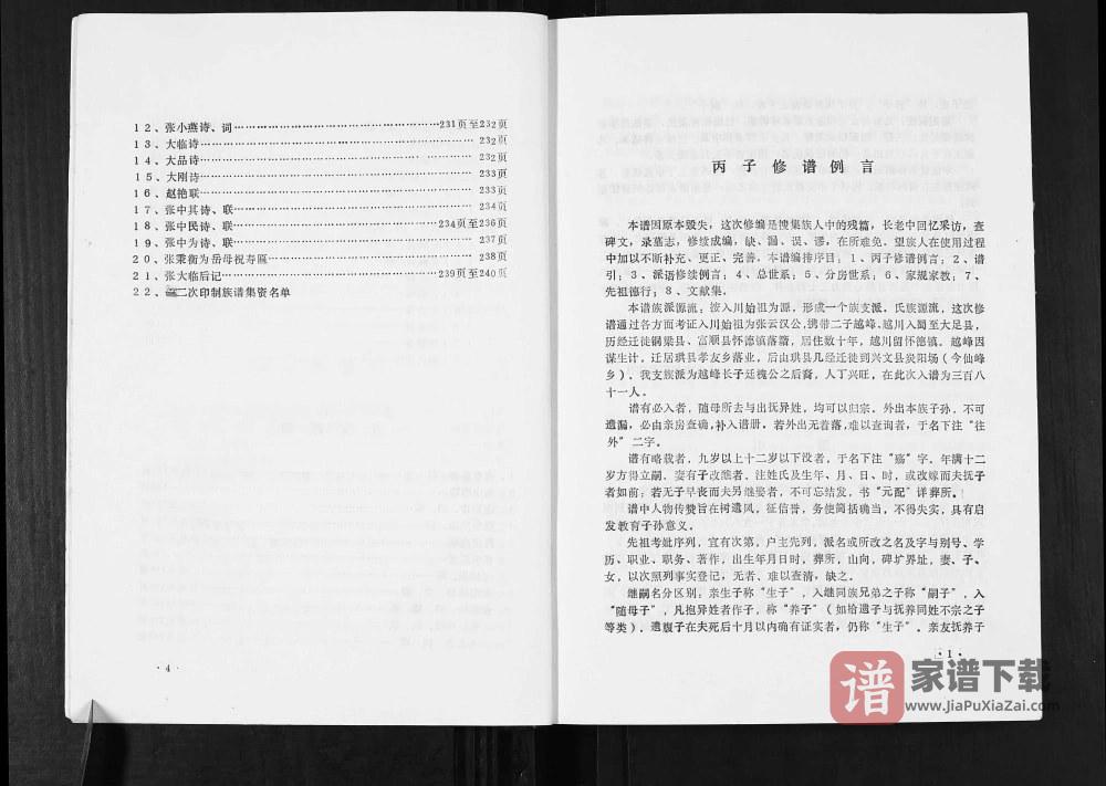 图片[2]-四川宜宾兴文县张氏族谱PDF高清电子版下载-家谱下载