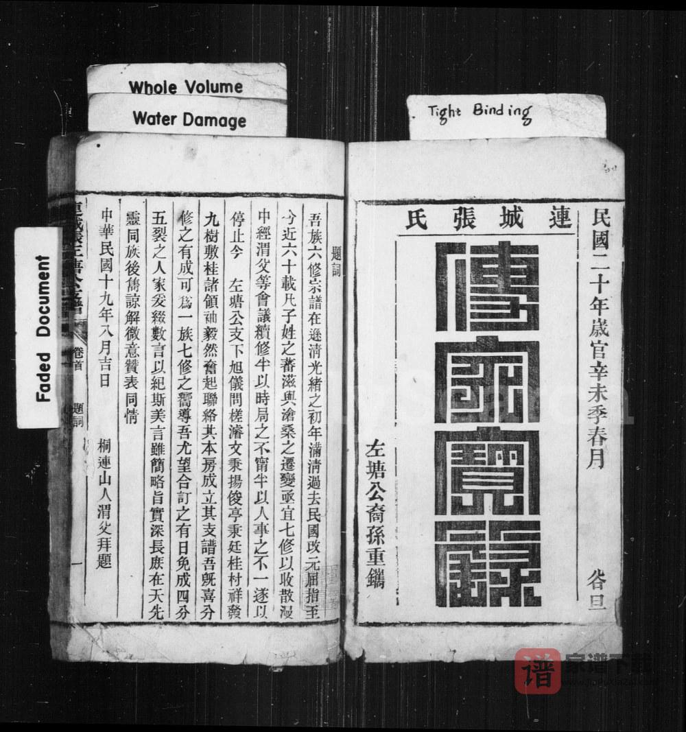图片[2]-安徽铜陵枞阳连城张左塘公支谱PDF高清电子版下载-家谱下载