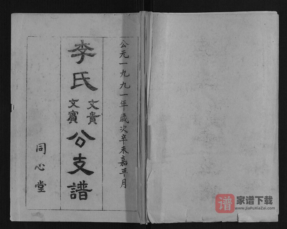 湖北孝感李氏文贵文宾公支谱（同心堂）PDF高清电子版下载