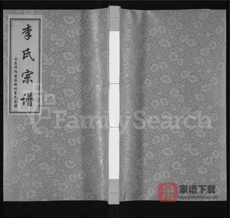 山东济南济阳区后封村李氏宗谱(弘德堂)PDF高清电子版下载-家谱下载