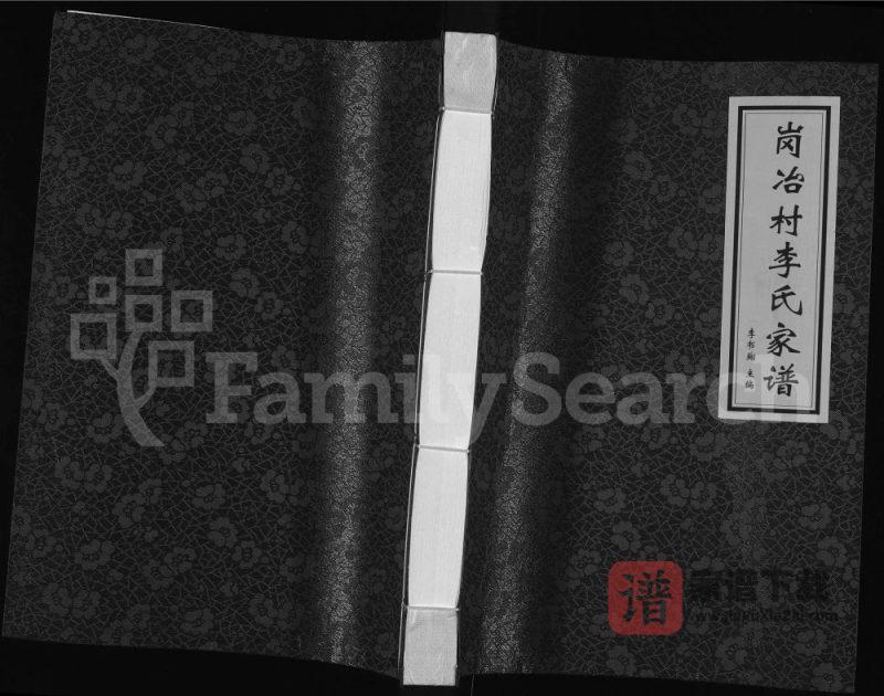 河北沙河市岗冶村李氏家谱PDF高清电子版下载-家谱下载