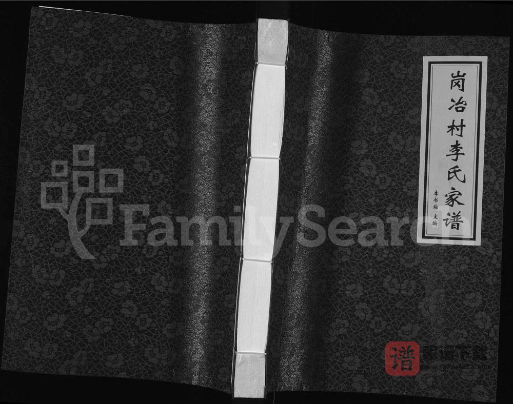 河北沙河市岗冶村李氏家谱PDF高清电子版下载