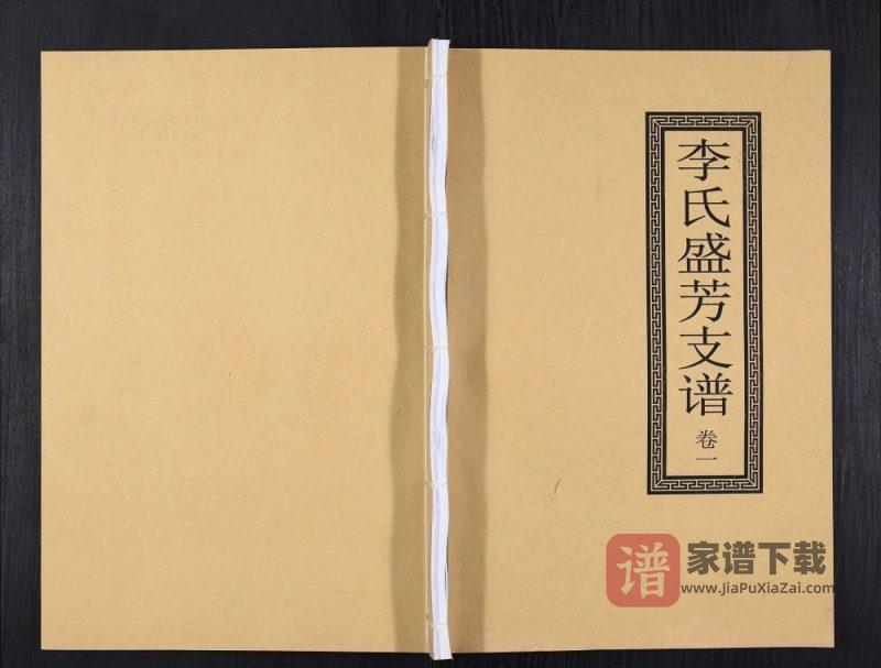 重庆巫山县李氏盛芳支谱PDF高清电子版下载-家谱下载