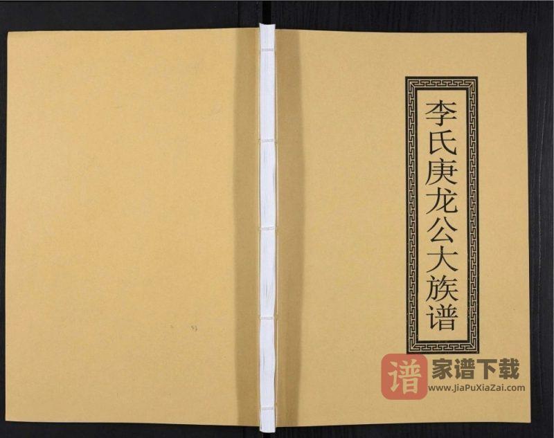 广东李氏庚龙公大族谱PDF高清电子版下载-家谱下载