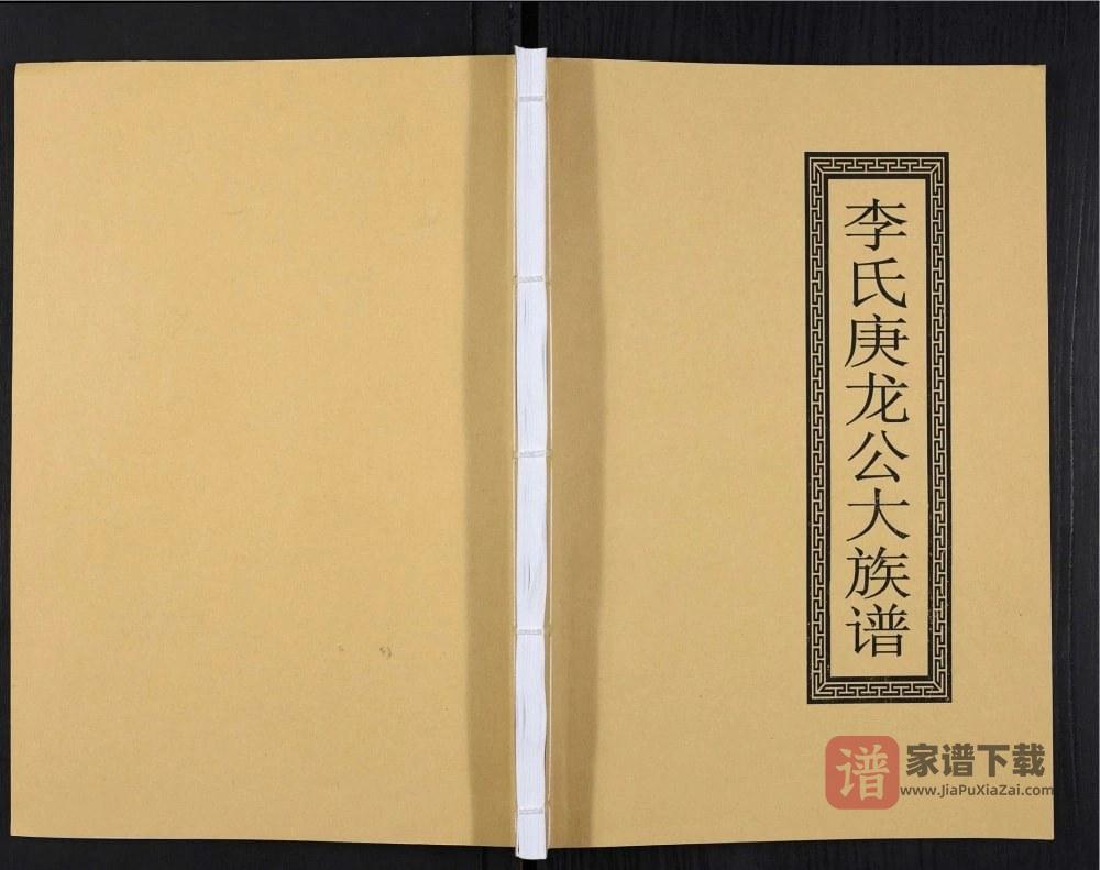 图片[1]-广东李氏庚龙公大族谱PDF高清电子版下载-家谱下载