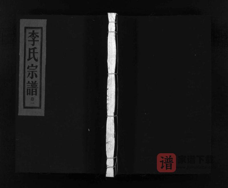 浙江乐清西洙李氏宗谱PDF高清电子版下载-家谱下载