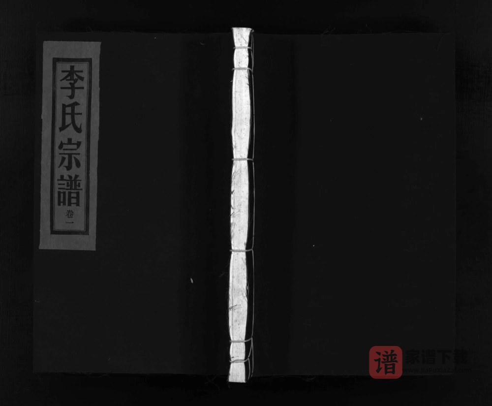 图片[1]-浙江乐清西洙李氏宗谱PDF高清电子版下载-家谱下载