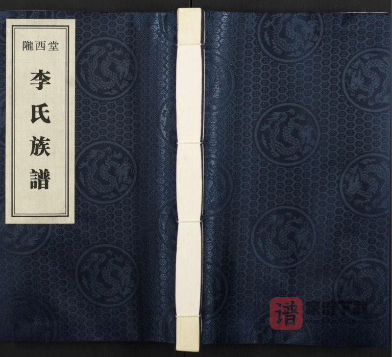 江苏徐州李氏族谱（陇西堂）PDF高清电子版下载-家谱下载