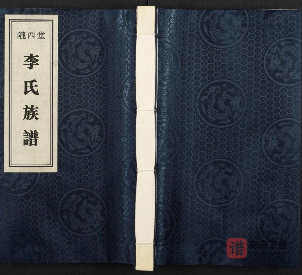 江苏徐州李氏族谱（陇西堂）PDF高清电子版下载