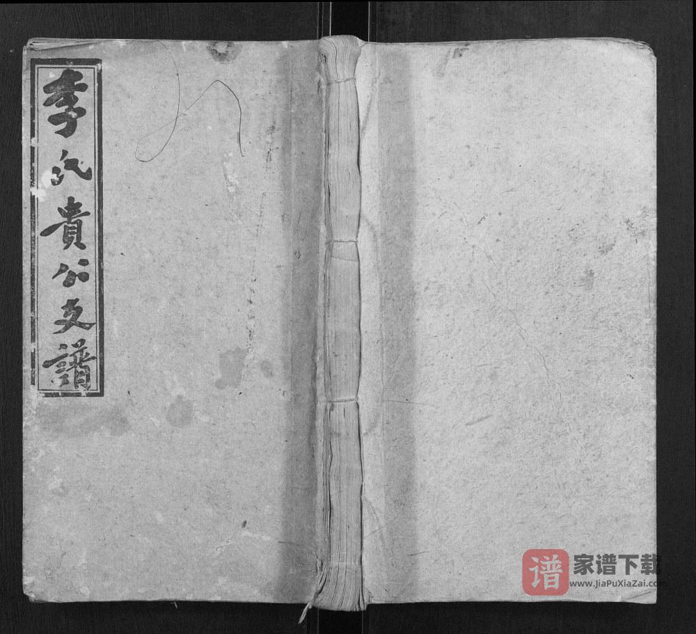 湖南邵东李氏贵公支谱（四部堂）PDF高清电子版下载