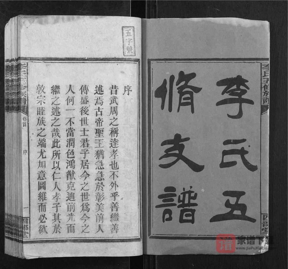 图片[2]-湖南邵东李氏贵公支谱（四部堂）PDF高清电子版下载-家谱下载