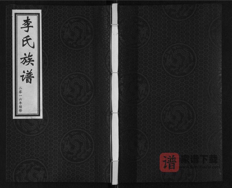 河北泊头市前牛官屯村李氏族谱PDF高清电子版下载-家谱下载