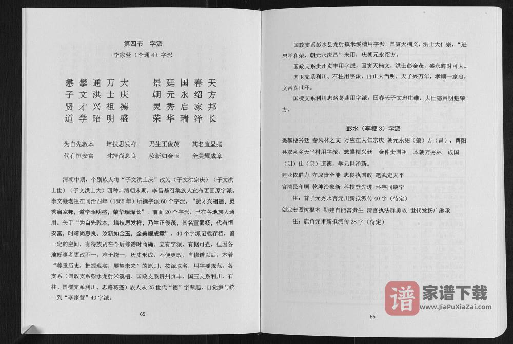 图片[2]-重庆黔江李家营李氏族谱PDF高清电子版下载-家谱下载