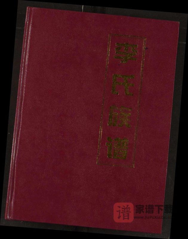 湖北荆门李氏族谱（陇西堂）PDF高清电子版下载-家谱下载