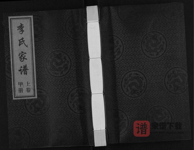 河北海兴黄骅李氏家谱PDF高清电子版下载-家谱下载