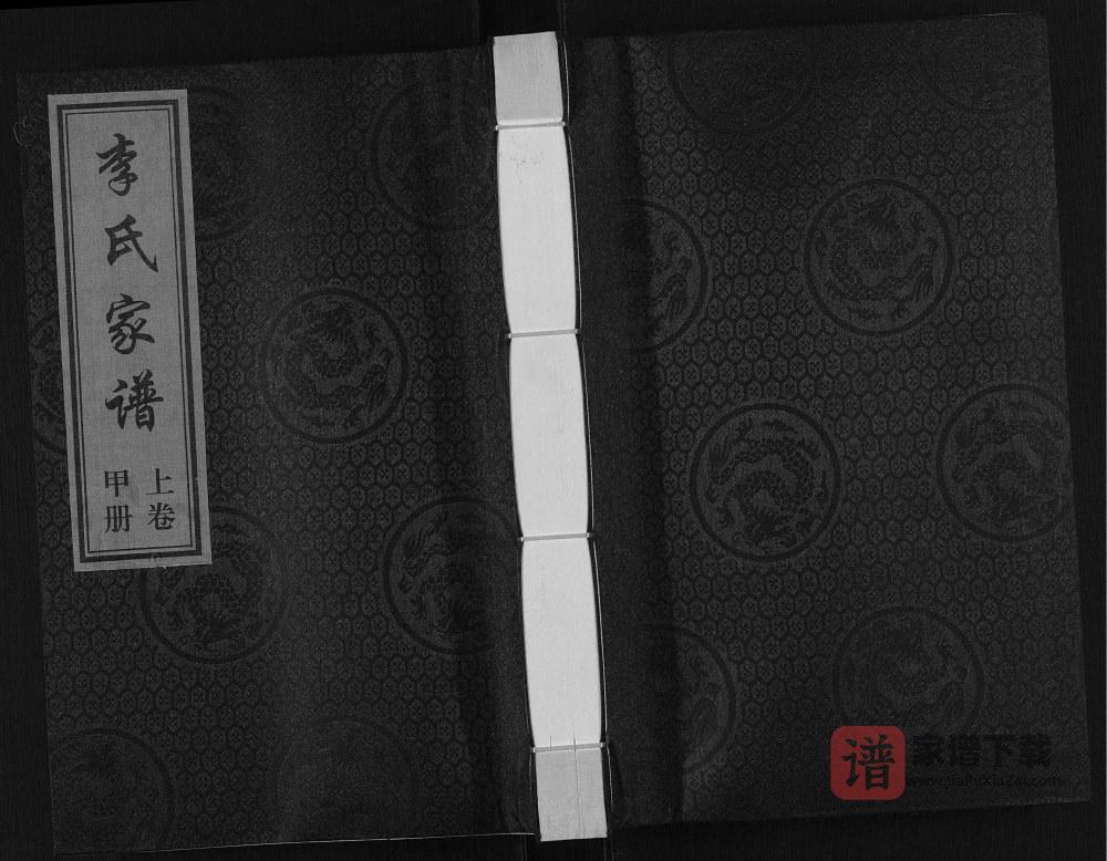 河北海兴黄骅李氏家谱PDF高清电子版下载
