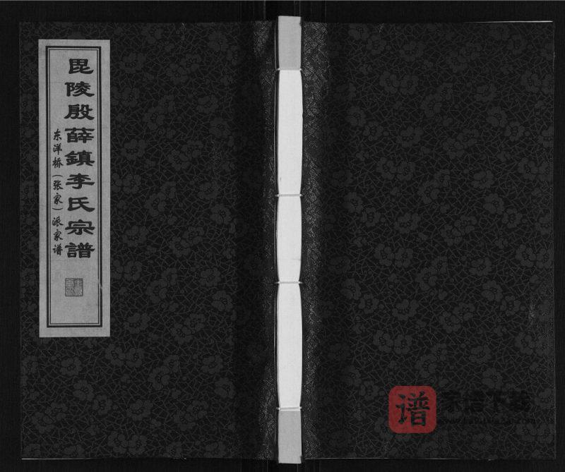 江苏常州武进区李氏东洋桥派家谱(垂裕堂)PDF高清电子版下载-家谱下载