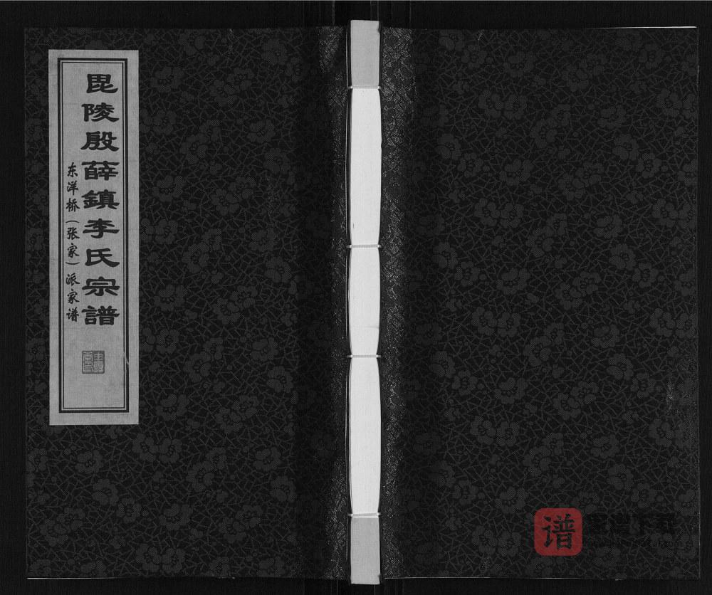 江苏常州武进区李氏东洋桥派家谱（垂裕堂）PDF高清电子版下载