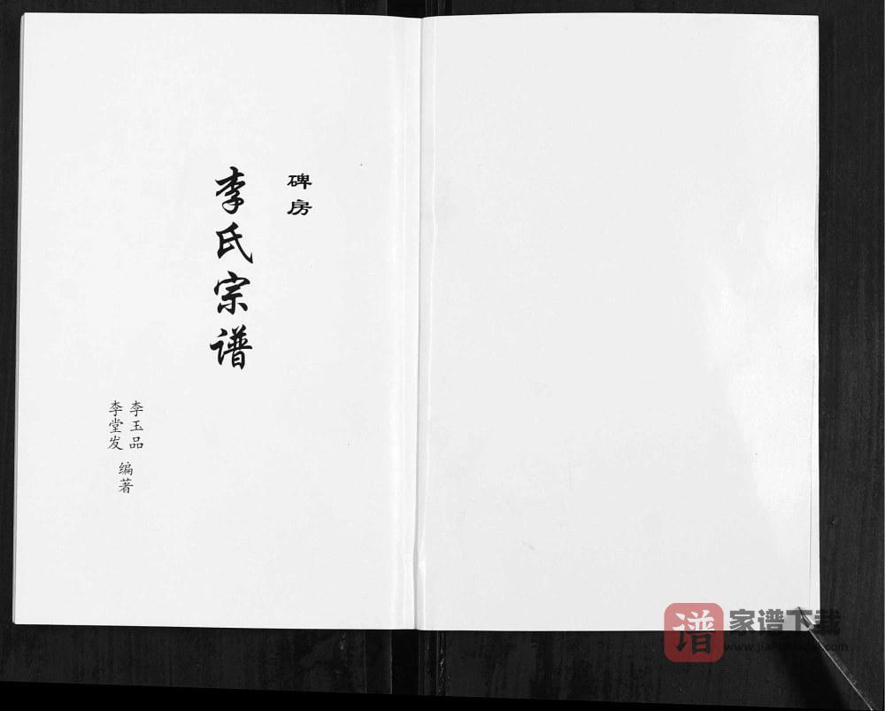图片[2]-云南昭通镇雄县碑房李氏宗谱（陇西堂）PDF高清电子版下载-家谱下载