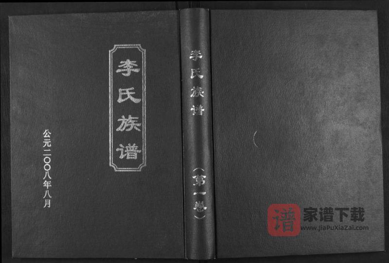 湖南郴州汝城县九九李氏族谱PDF高清电子版下载-家谱下载
