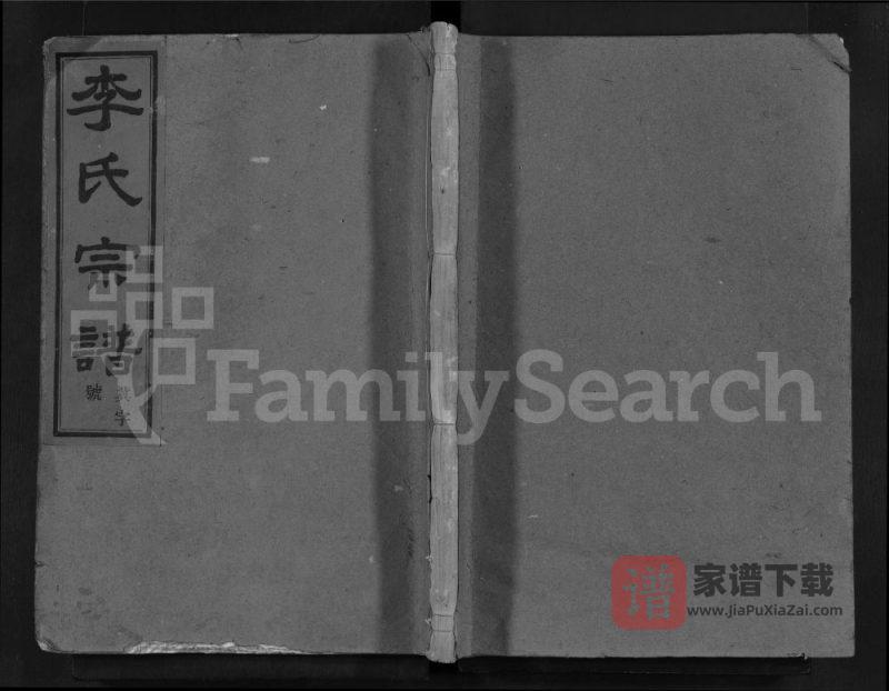 浙江嵊州彩染李氏宗谱(萃涣堂)PDF高清电子版下载-家谱下载
