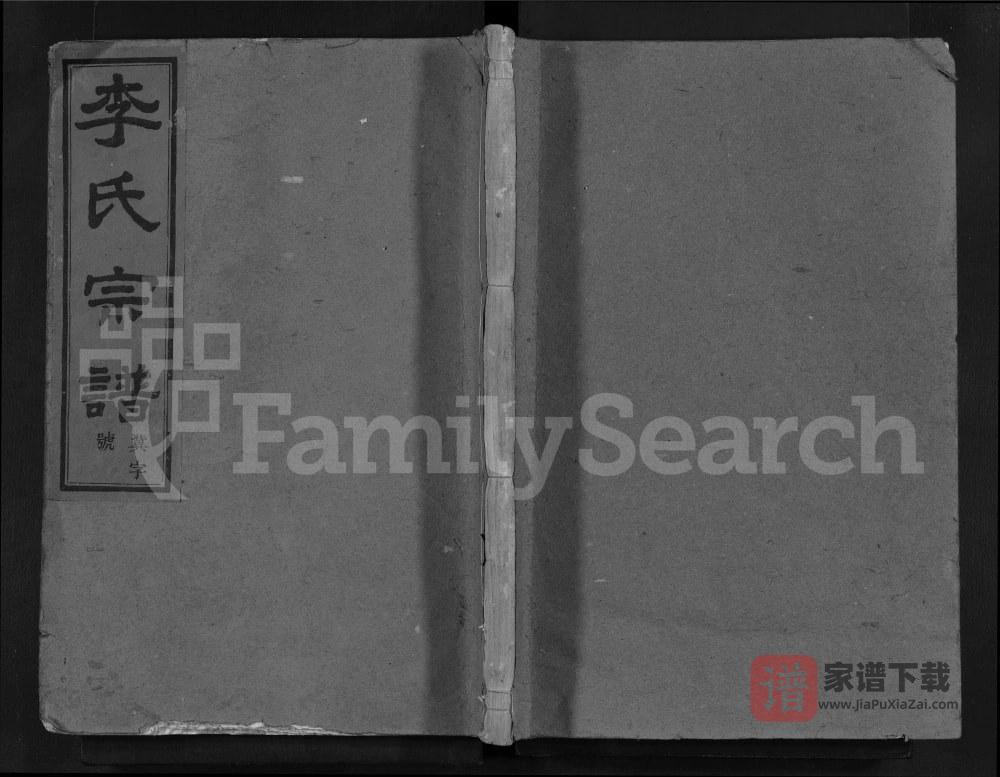 浙江嵊州彩染李氏宗谱（萃涣堂）PDF高清电子版下载