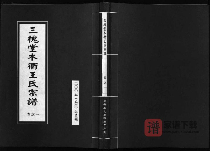 浙江东阳木衢王氏宗谱（三槐堂）PDF高清电子版下载-家谱下载