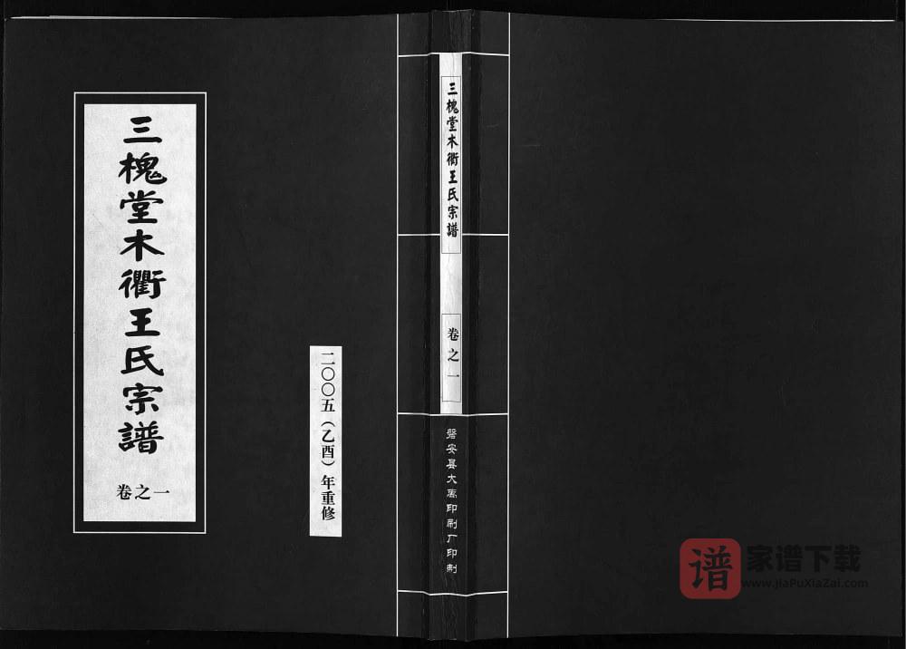 浙江东阳木衢王氏宗谱（三槐堂）PDF高清电子版下载