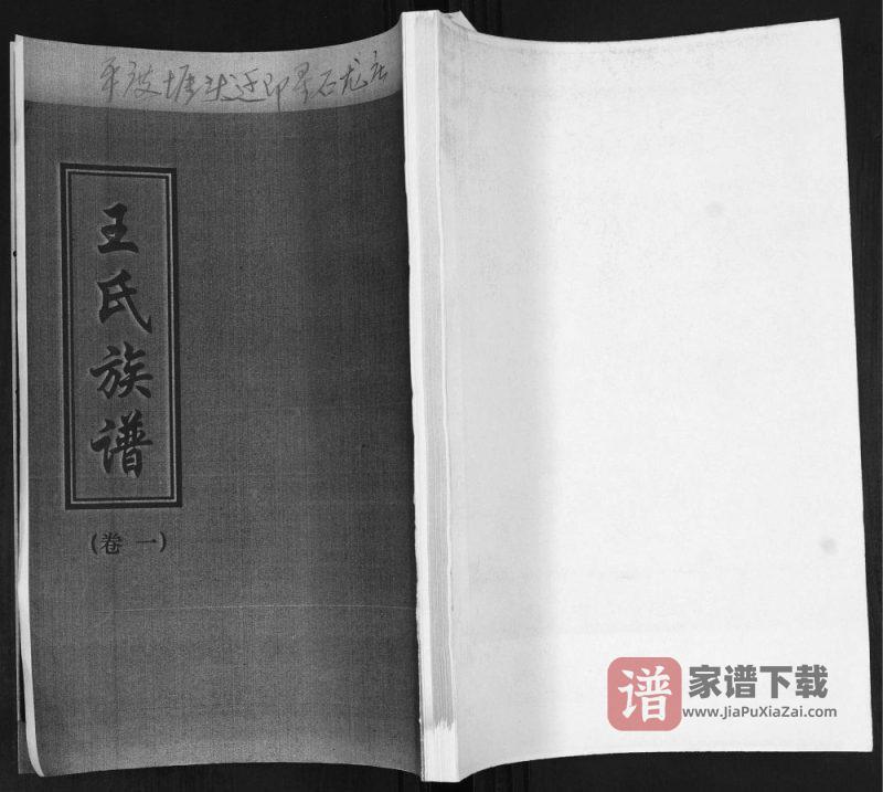 山东平度堐头王氏族谱PDF高清电子版下载-家谱下载
