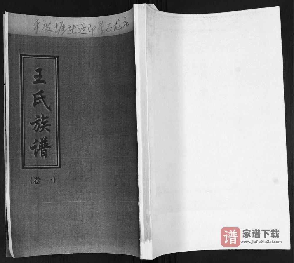 图片[1]-山东平度堐头王氏族谱PDF高清电子版下载-家谱下载
